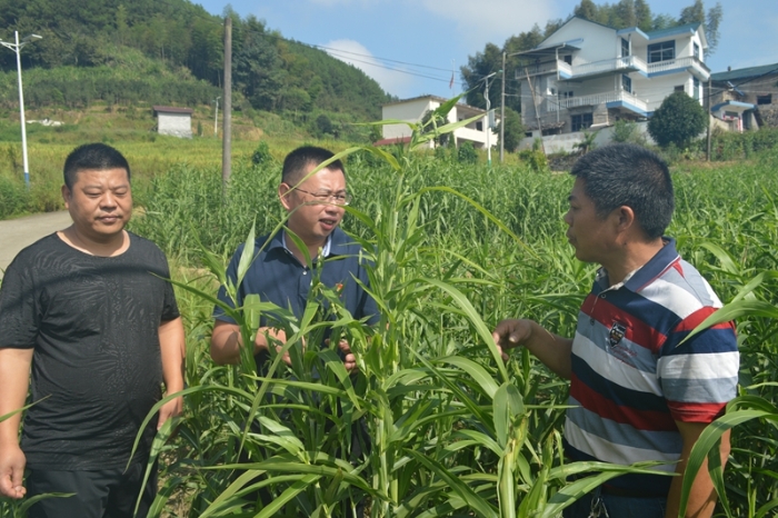 始终把脱贫攻坚的责任扛在肩上