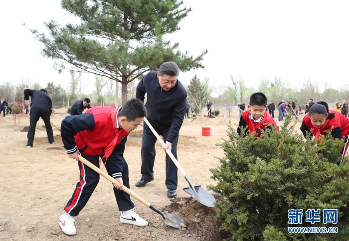 习近平在参加首都义务植树活动