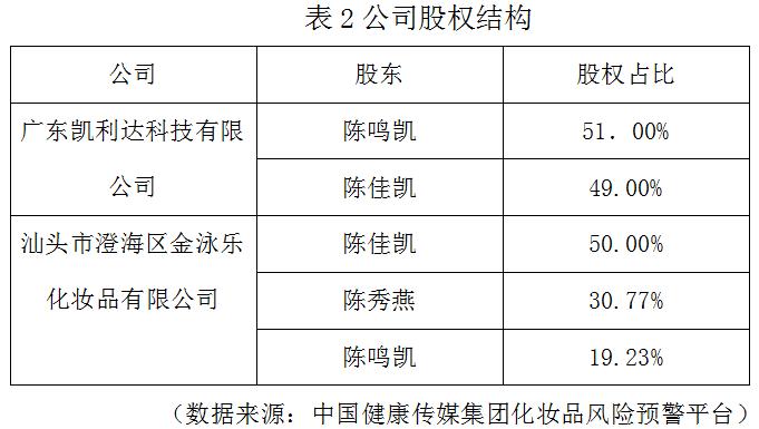 表2公司股权结构