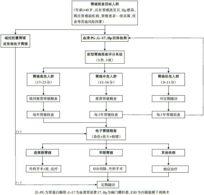 图为早期胃癌筛查的推荐参考流程。